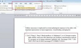 新闻爆料投稿格式参考,某企业涉嫌违规操作，环保部门紧急介入调查